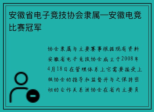 安徽省电子竞技协会隶属—安徽电竞比赛冠军